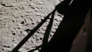Чому Місяць завжди повернутий до Землі одним боком — фото: Shadow of the Apollo 11 Lunar module silhouetted against Moon's surface (NASA), NASA media usage guidelines (public domain, no listed copyright), джерело: https://images.nasa.gov/details/as11-37-5505